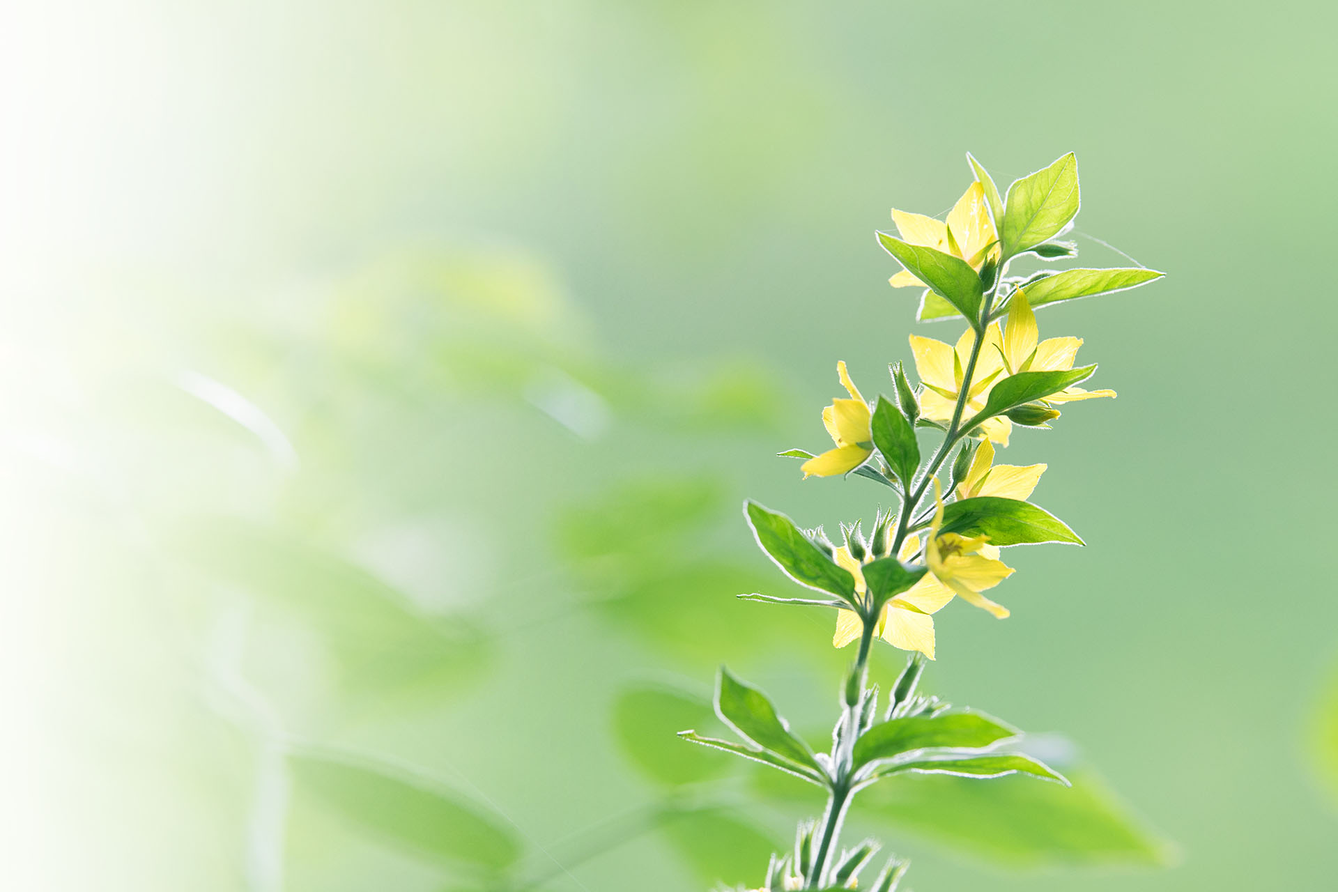 Online nyereményjáték - Praktiker